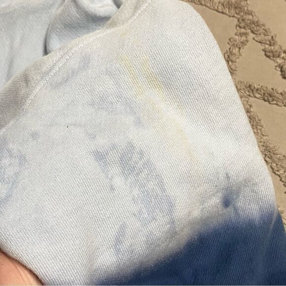 𝅺CHAMPION Reverse Weave cropped hoodie size M - Picture 2 of 8